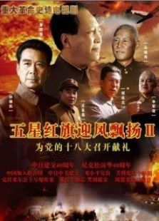 五星紅旗迎風飄揚2