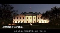 電影路透社0125：功夫熊貓橫霸天下