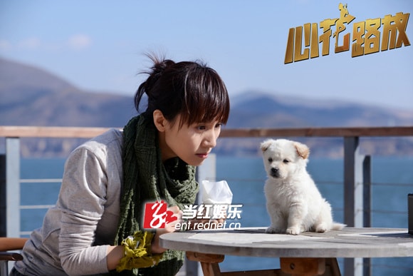 http://www.omega3-ala.com/pics/default/download/cbb30619820d46473ad4eb2b3b73b06c.jpg