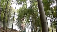 兩位劍客看不起小伙，小伙居然是絕世高手！