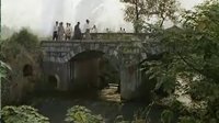 毛澤東視察稻田