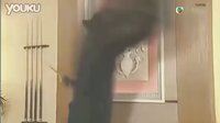 鄭少秋變身