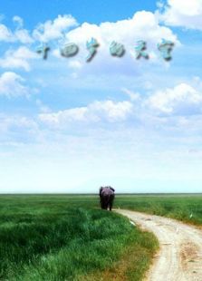 十四歲的天空