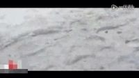 笑死不償命 逗比老外博君一笑