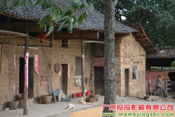 http://www.omega3-ala.com/pics/default/download/cf468d248c7653712bde03eb0e2fb767.jpg