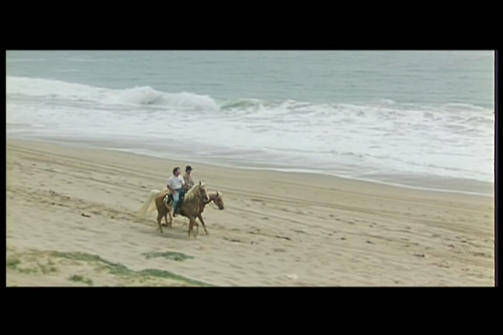 http://www.omega3-ala.com/pics/default/download/cf7ae197882d1f166628da4bc54c610b.jpg