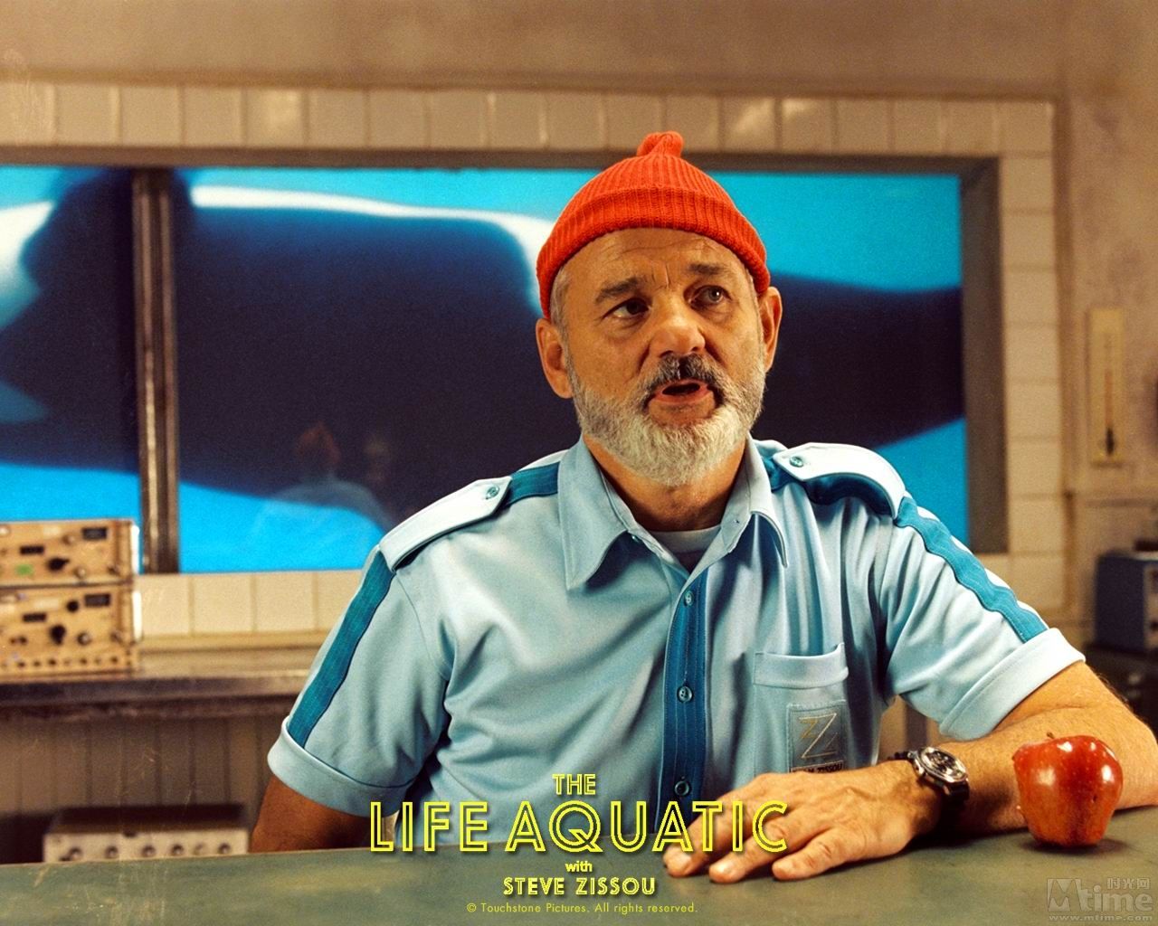 http://www.omega3-ala.com/pics/default/download/cfa8017974b9b0d0e0d005ea477730db.jpg