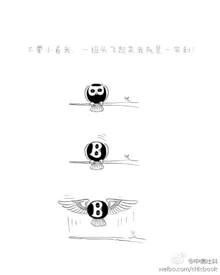 http://www.omega3-ala.com/pics/default/download/cfacb8847f68244d2d152a08ed814fbd.jpg