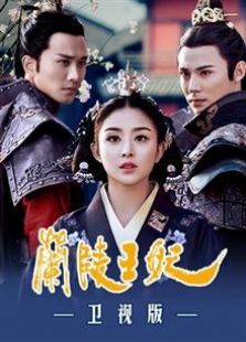 蘭陵王妃 衛(wèi)視版
