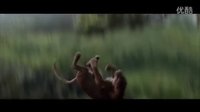 威爾·史密斯新作《重返地球》新片段 猛禽獵豹險象環生