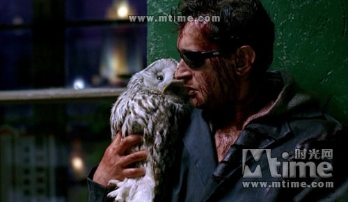 http://www.omega3-ala.com/pics/default/download/d25063f127e5e9e8657e7b6ba8554d0f.jpg