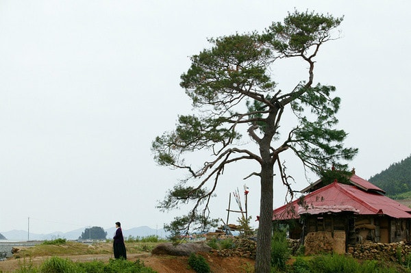 http://www.omega3-ala.com/pics/default/download/d28f57f1b6e2982976aafd83081c060f.jpg