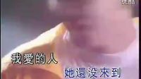 二十多年前，林依輪憑這首歡快跳躍的《愛情鳥》紅透半邊天