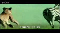 《王牌逗王牌》奔跑吧禽獸特輯