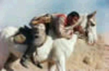 http://www.omega3-ala.com/pics/default/download/d3bbf6825e6a165b99b027d731f649f5.jpg