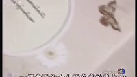 《陀槍兒媳》最后一集精彩片段