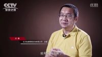 新時代的縱橫家（上）