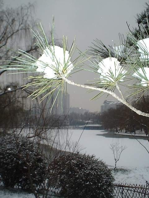 http://www.omega3-ala.com/pics/default/download/d49f790c75cadde56d1f43b3fee05d15.jpg