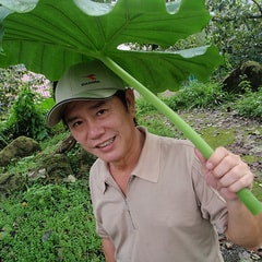 黃西田?