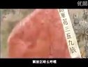 八路軍 插曲 359旅大生產(chǎn)歌