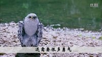 【古劍奇譚】百里屠蘇×阿翔——一路上有你