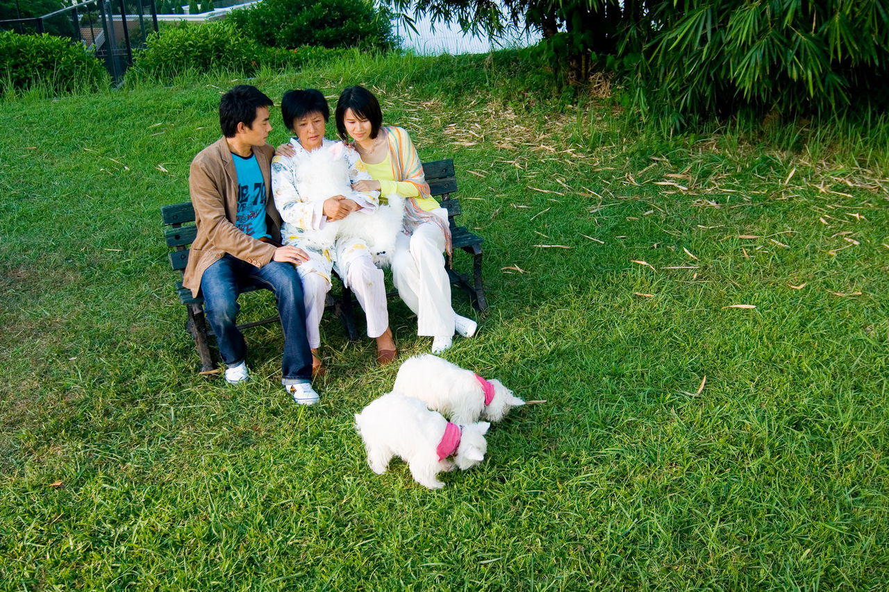 http://www.omega3-ala.com/pics/default/download/d52c34519fe9e32f9b0fe50797968429.jpg