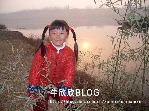 http://www.omega3-ala.com/pics/default/download/d532ae3c9061a7e5cc6bd85d2bcb0d72.jpg
