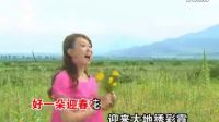 樂視網-迎春花