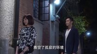 《何以笙簫默》插曲《孤獨的總和》