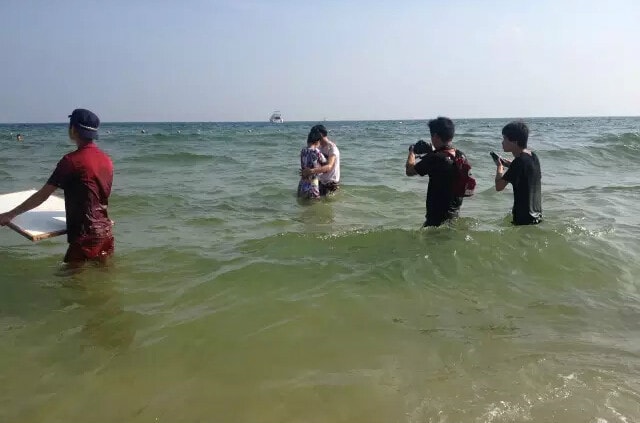 http://www.omega3-ala.com/pics/default/download/d6561d85960df6ece87cad8925843b48.jpg