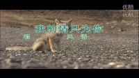 我的情只為你 風語ktv左