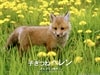 http://www.omega3-ala.com/pics/default/download/d6a4c2b18f9b866f57bc0f6fc9affe2a.jpg