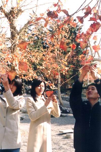 http://www.omega3-ala.com/pics/default/download/d6cd814eae2df70511483170f17a1f33.jpg