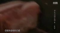 紅燒肉的家常做法 舌尖上的中國第2季第4集： 紅燒肉_標清