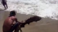 嘻嘻趣聞 實拍13歲男孩沙灘釣到200磅鯊魚
