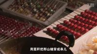 電視劇《寶樂嬸的煩心事》插曲《糖葫蘆》