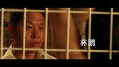 預(yù)告片