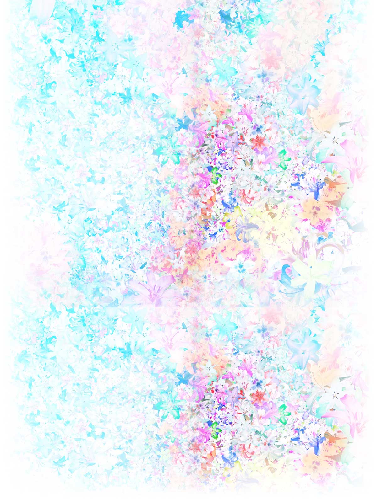 http://www.omega3-ala.com/pics/default/download/d76c777c5fc49bf55f004e8cf284af31.jpg