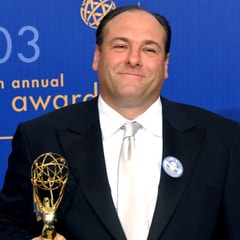 詹姆斯·甘多菲尼James Gandolfini