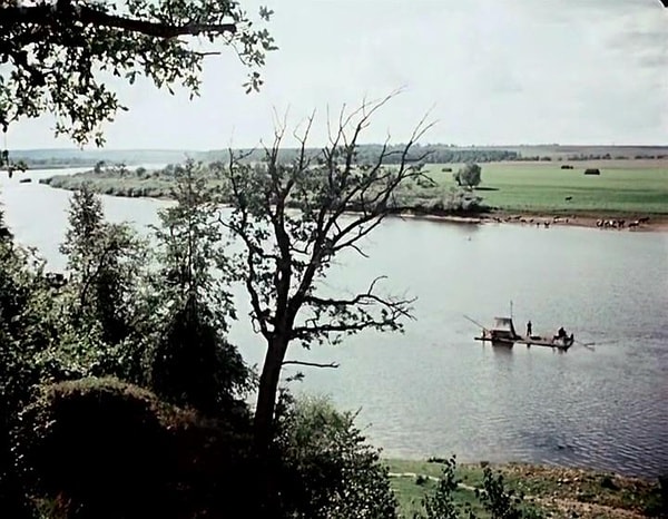 http://www.omega3-ala.com/pics/default/download/d7d4002c5c6ccb66a989d63ba103b28d.jpg