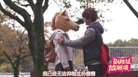 劇能扯 放膽噴 2016 《奔跑吧小百合醬》再創驚人畫面 人馬少女實力虐狗300回合