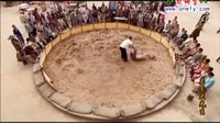 關(guān)東大先生之功夫(主演張家豪)