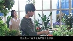 桂綸鎂花絮