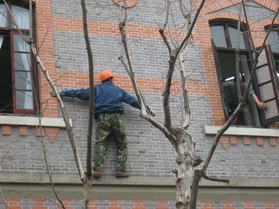 http://www.omega3-ala.com/pics/default/download/d9428fd8074ff3324a5ed15eec463838.jpg