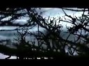 藝伎回憶錄【高清】