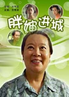 胖嬸進城