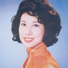 潘迪華