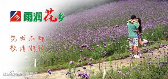 http://www.omega3-ala.com/pics/default/download/db96d77d2e69f916a955f84ca8ca91eb.jpg