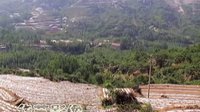 我的家鄉(xiāng)沂蒙山