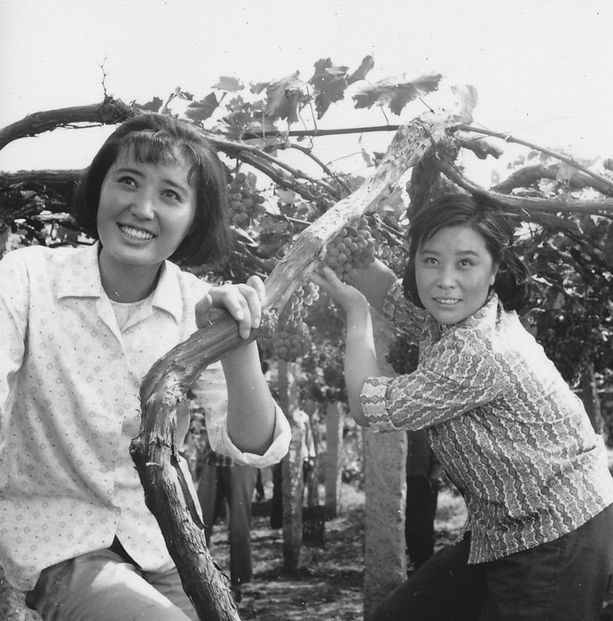 http://www.omega3-ala.com/pics/default/download/dc0db9bc5edddf54d206bfcd2b29fcbf.jpg